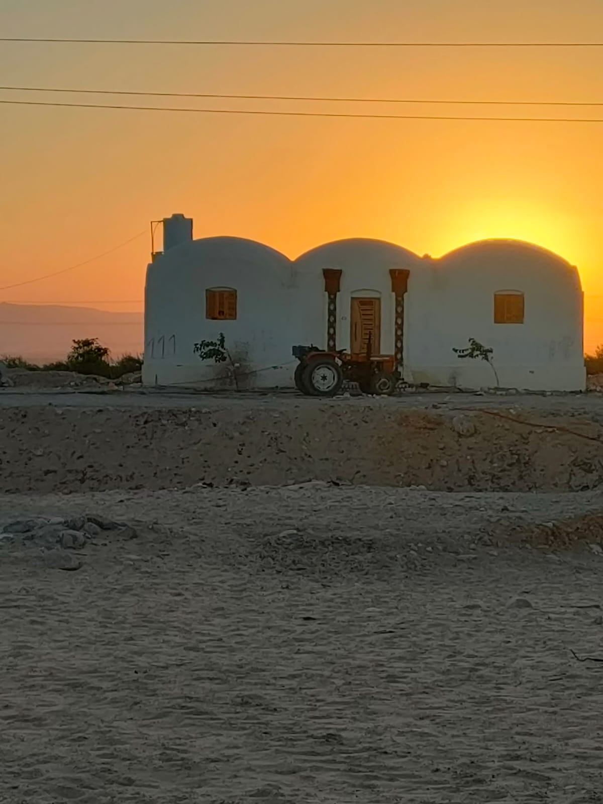 حماية شاملة للزراعة